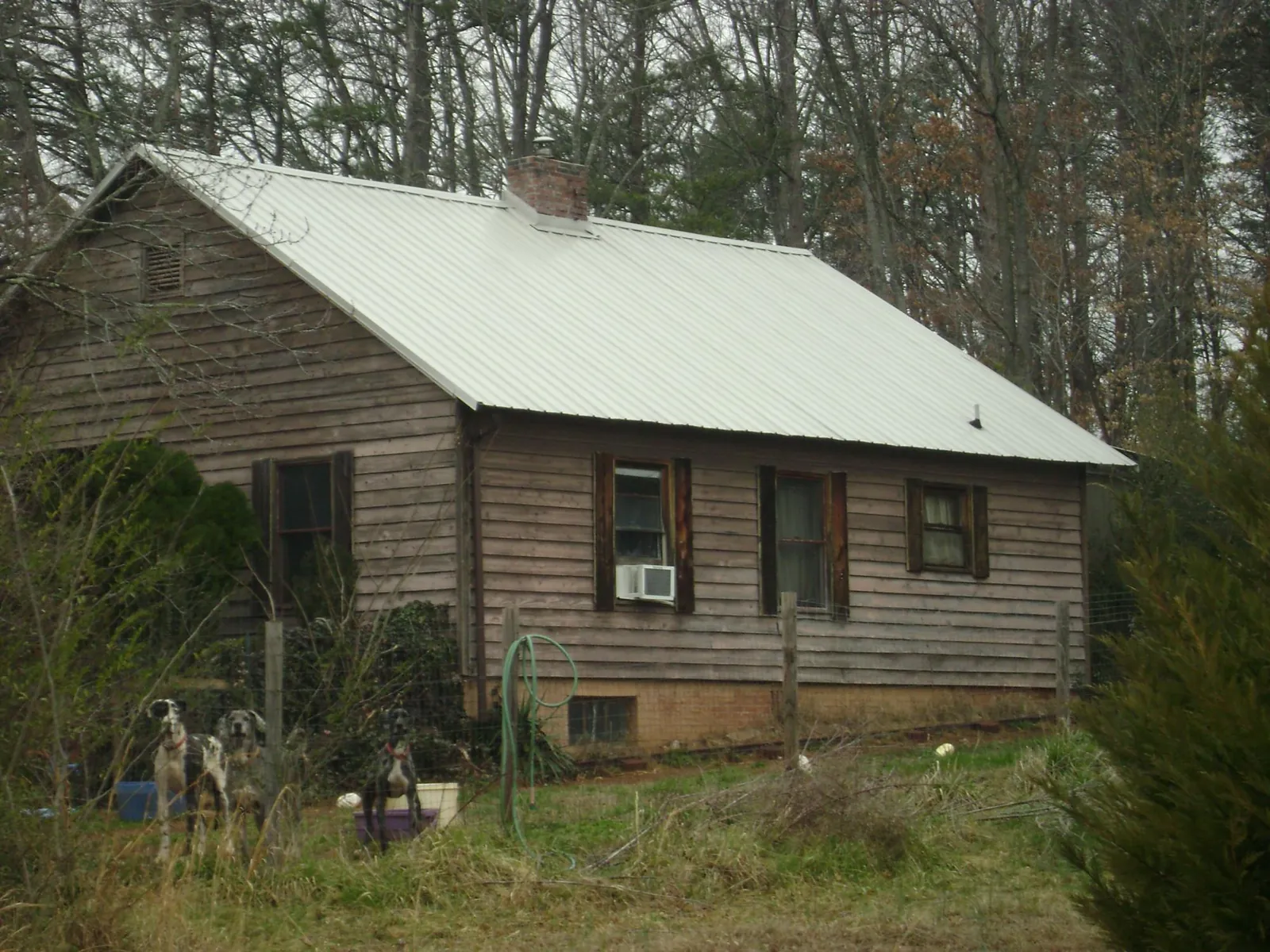 White metal roof on an old wood sided farmhouse, from a Asphalt Shingle Roof Repair job in Crane